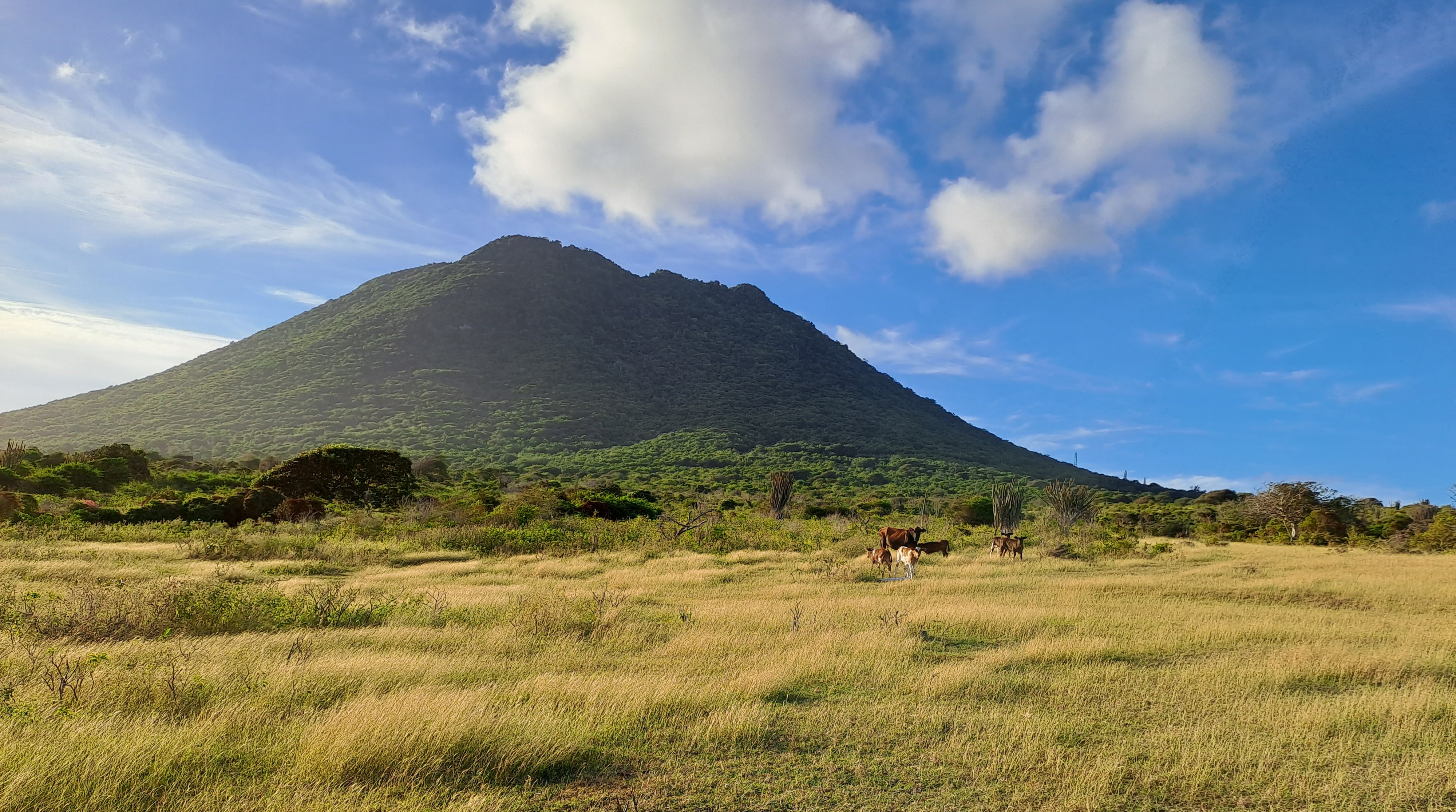 The Quill seen from the Atlantic side, Sint Eustatius